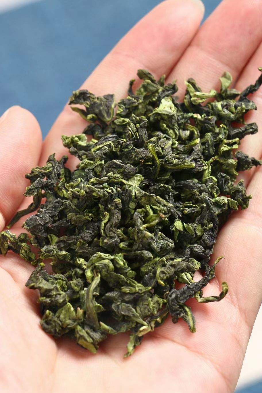 500g铁观音浓香型高山正味乌龙茶安溪兰花香铁观音