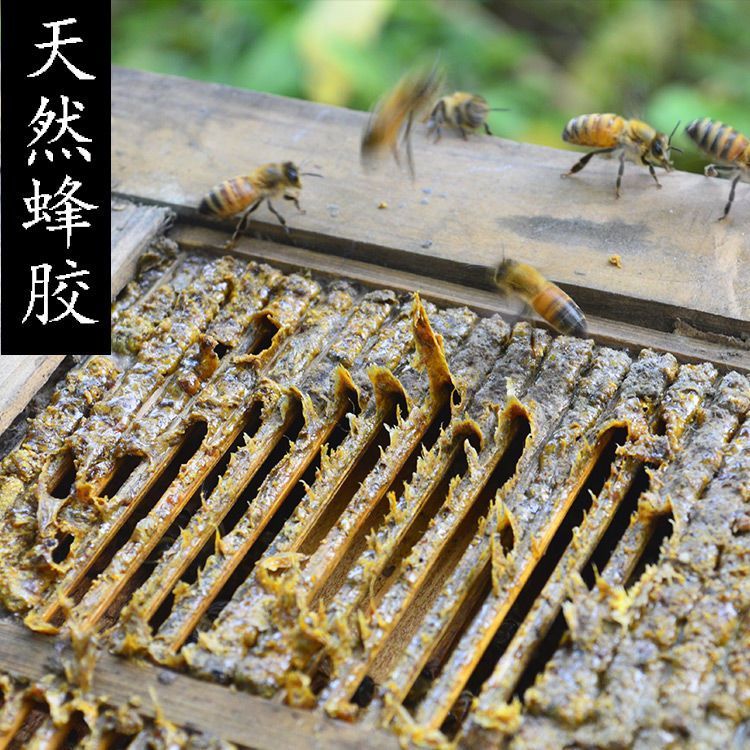 【无杂质原蜂胶】天然蜂胶原胶纯正蜂胶蜂胶泡酒蜂胶块正品包邮