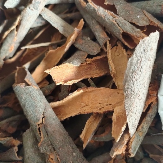 平南县普通桂皮  桂碎（中块）