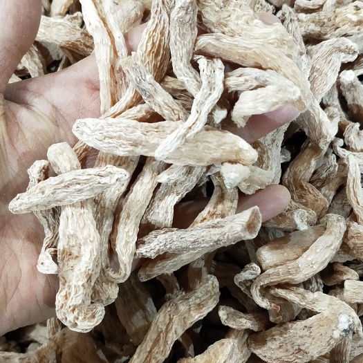 黄天麻  东北天麻无硫足干 质优价廉  食用安全 欢迎选购