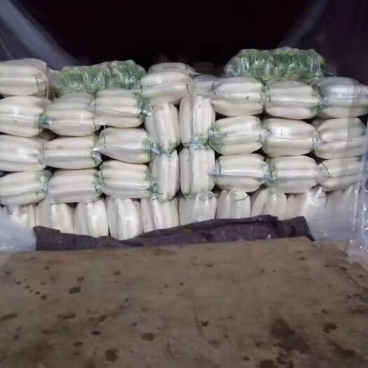 吉首市 白萝卜大三排精品4排工厂货产地直发