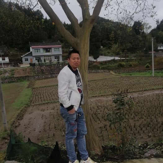 余庆县红花紫薇  大紫薇
