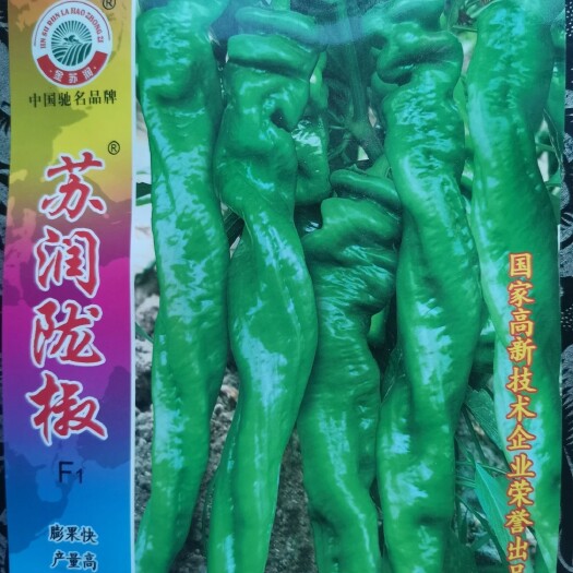 螺丝椒种子  陇椒长30－35厘米，粗3－4厘米深绿色油亮