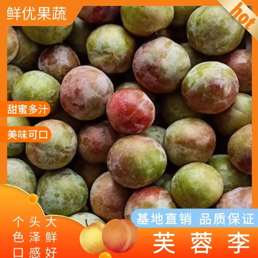 宜城市芙蓉李个大，色泽鲜，口感甜，每天现摘现发，产地直销！