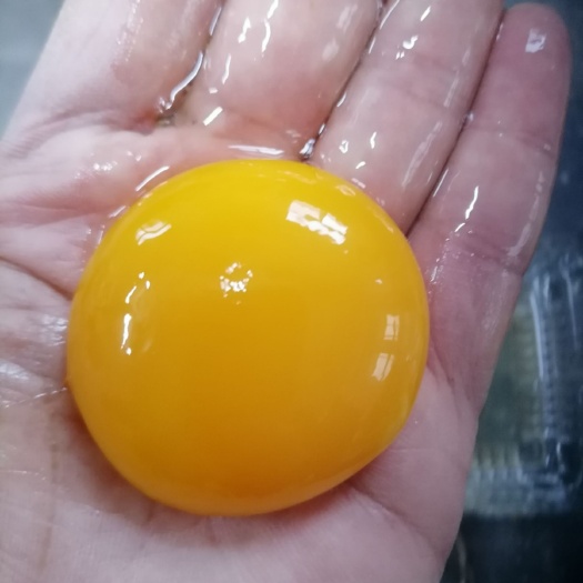 泊头市 土鸡蛋，林下散养土鸡，健康的溜达鸡蛋