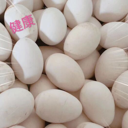 沈阳鲜鹅蛋