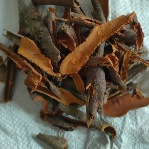 平南县普通桂皮  桂碎(小块)