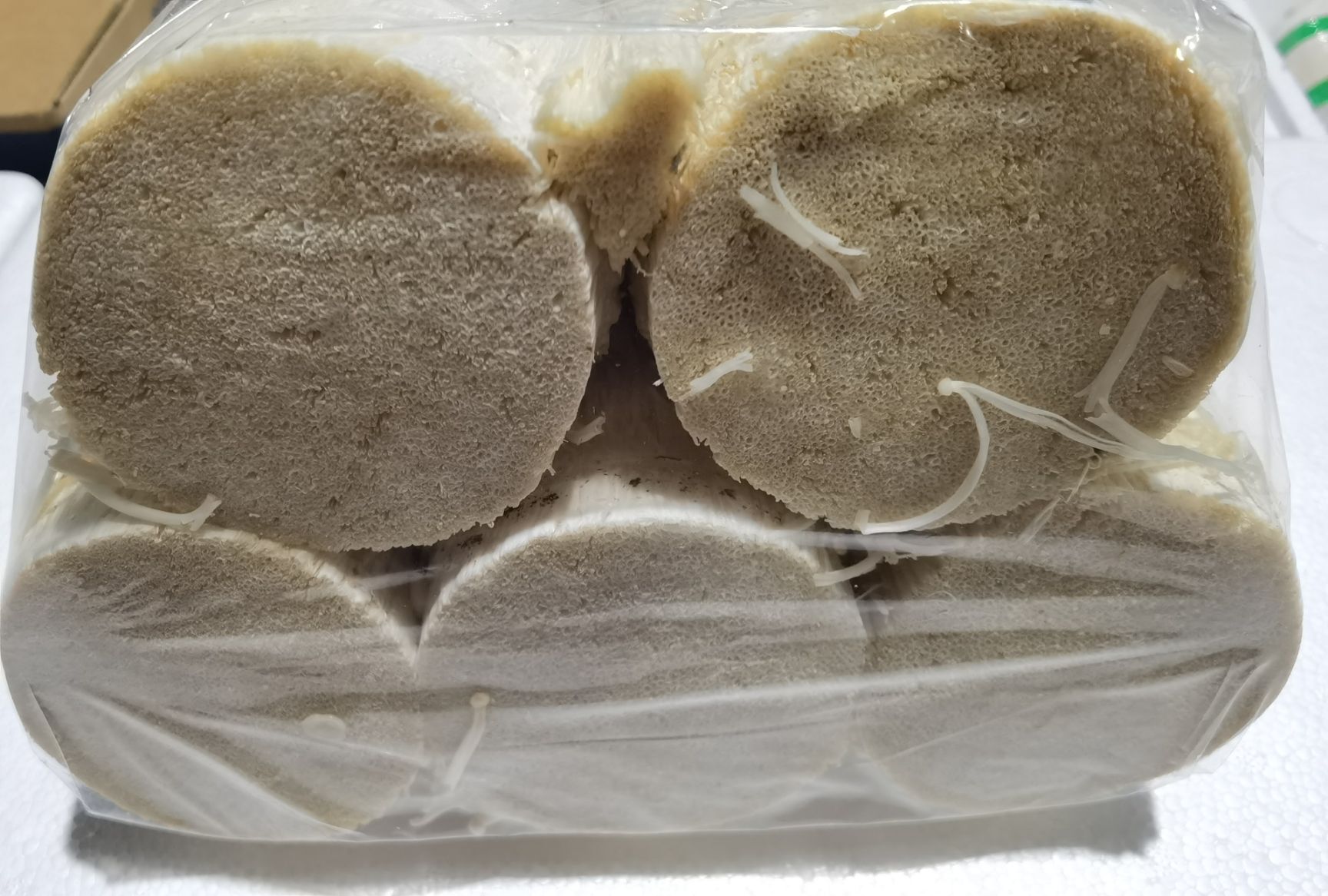 白金针菇  金针菇各种品牌、规格、等级，价格优惠，量大从优。