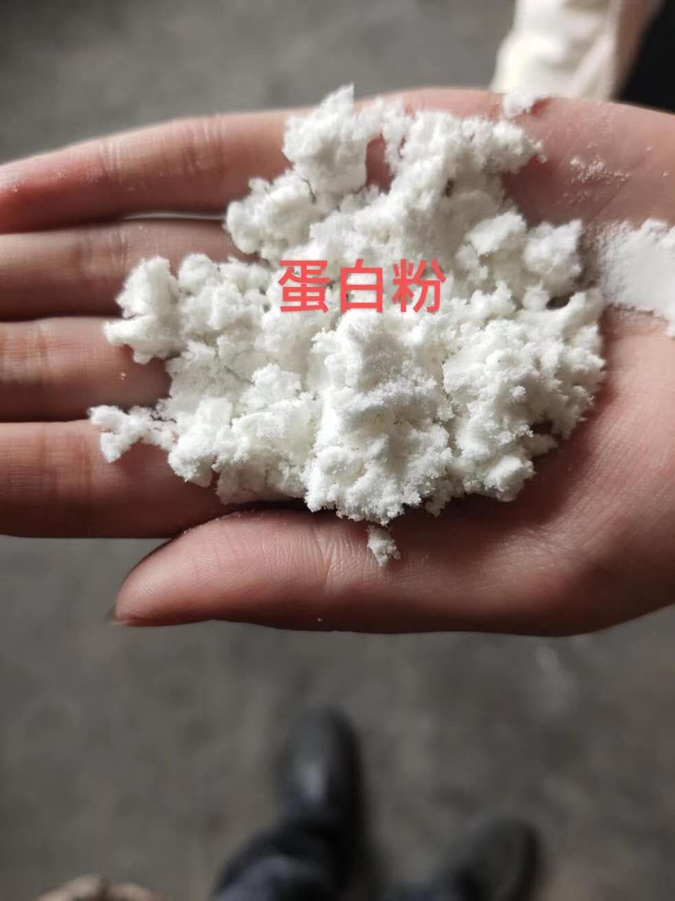 蛋白质补充饲料  蛋白粉。提蛋白首先