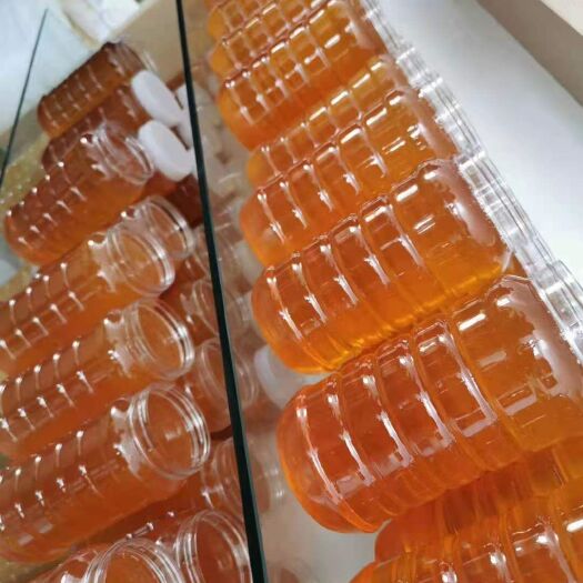 伊吾县土蜂蜜  新疆阿勒泰自家蜂蜜厂，！⊙ω⊙⊙ω⊙质量可以保证！！