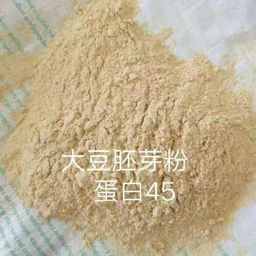 石家庄厂家直销 大豆胚芽粉   蛋白45以上 蛋白溶解度70以上