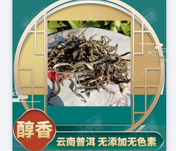 古树茶  哀牢山生态普洱生茶手工制作