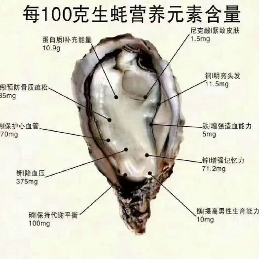 珠海牡蛎  台山生蚝，荷包蚝，湛江生蚝