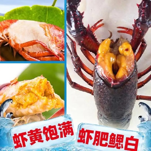 仙桃市小龙虾  湖北清水养殖淡水油焖，蒜蓉，十三香，麻辣香辣