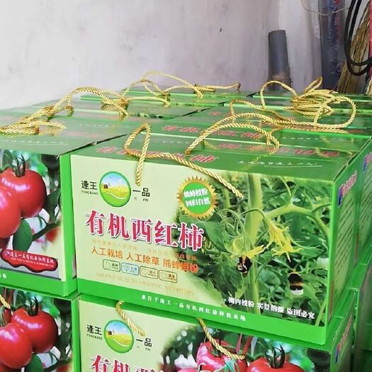 潍坊普罗旺斯西红柿，逄王一品，主要品种普罗旺斯，草莓系列等