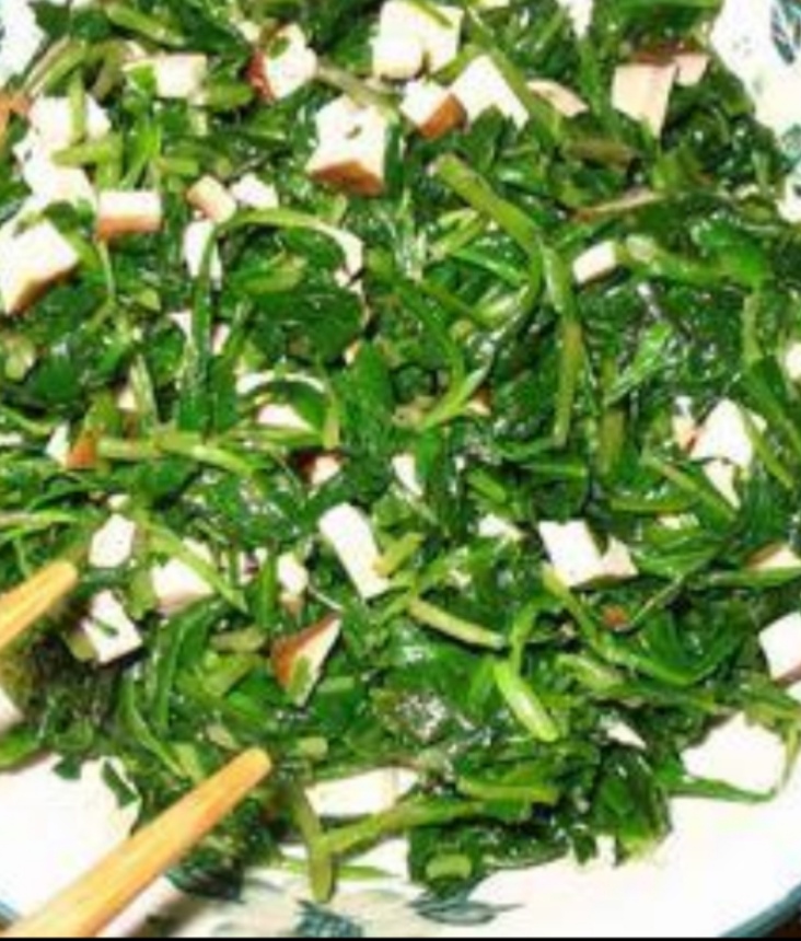 小蓟草 野生小蓟大蓟刺儿菜青青菜