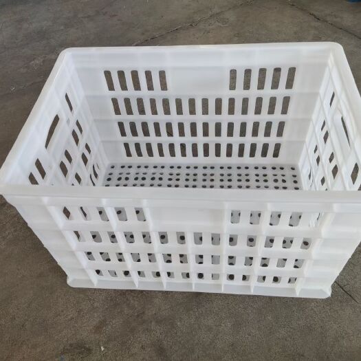 巨野县塑料筐 塑料周转筐