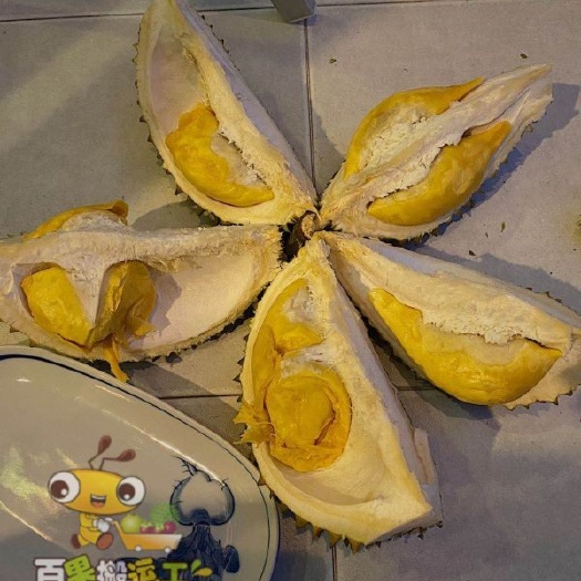 南宁 泰国榴莲 混装 玛雅+青蛙+山大530元,顺丰全国包邮到家！