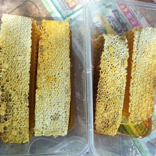 博白县广西蜂巢蜜封盖蜜