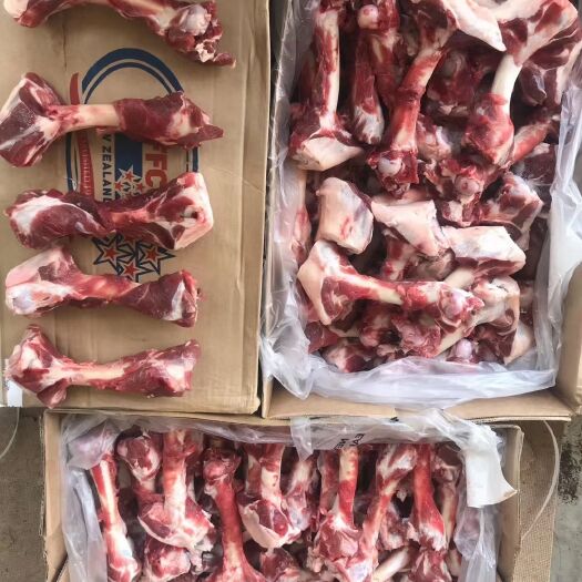 河间市羊骨  羔羊棒骨肉多量大价格低