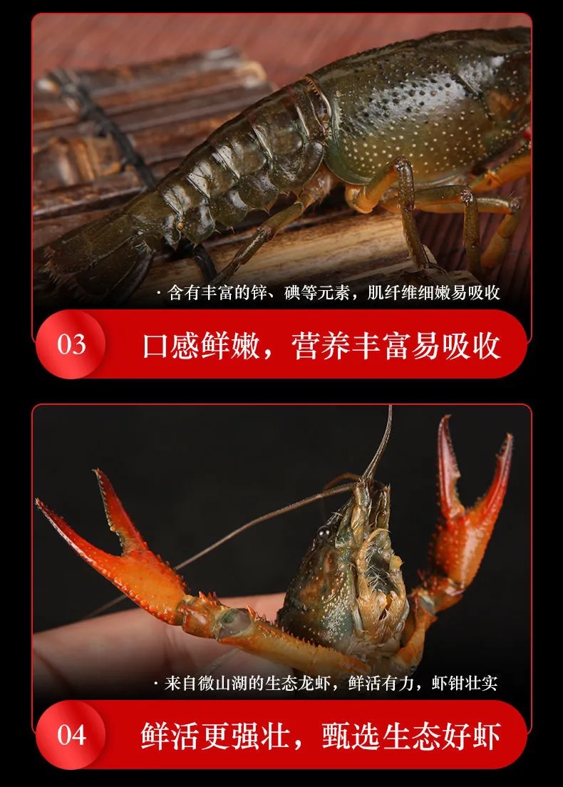 小龙虾  湖北清水养殖淡水油焖，蒜蓉，十三香，麻辣香辣