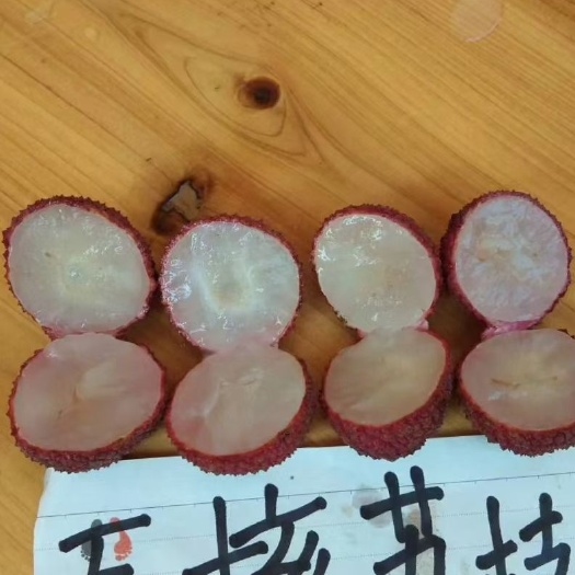 灵山县无核荔枝苗:好吃不上火  老人小孩都能吃的荔枝  正品嫁接苗
