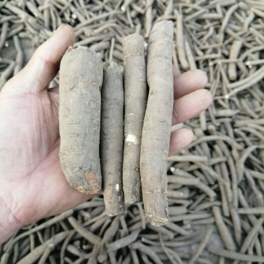 临潭县白芍  赤芍干药