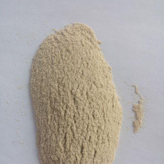 石家庄 玉米皮粉  喷浆玉米皮粉   玉米白皮粉