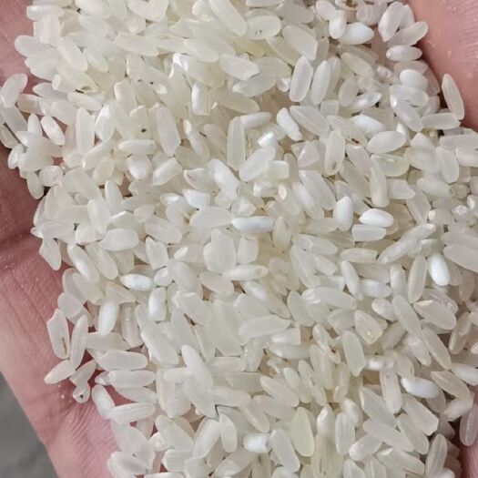 兴宁市新出白净长粒香鸡米食品级酒米
好鸡米 大量到货  包靓碎米