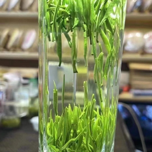 江山市绿牡丹茶  江山高山茶叶，绿牡丹，毛峰，龙井，曲毫等茶叶