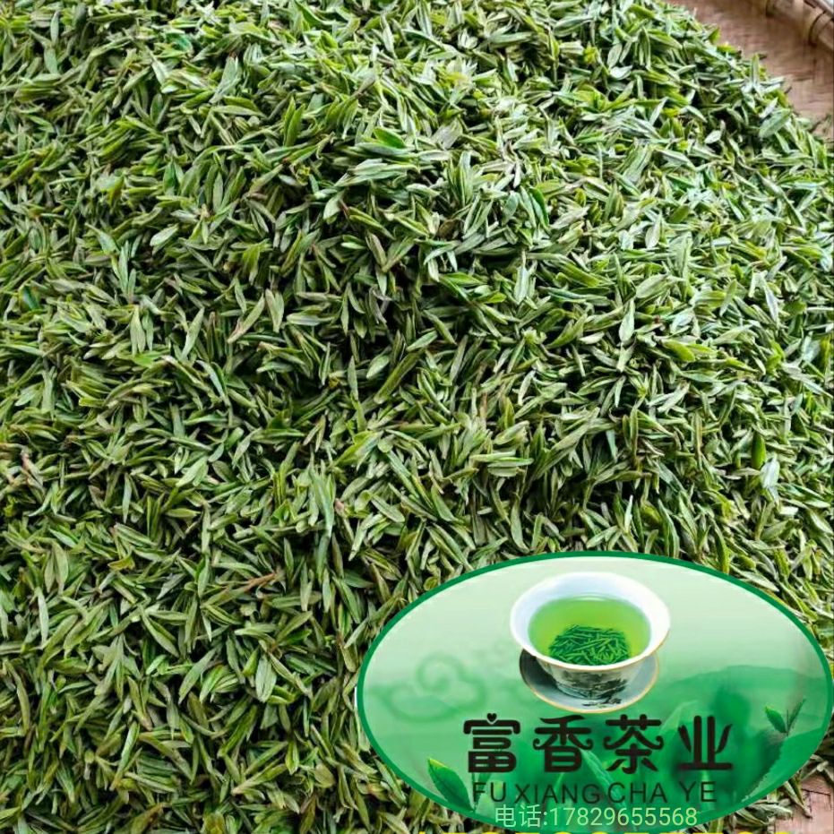 云雾茶  富香茶业 2021年明前新茶高端毛尖茶 高山绿茶口粮茶