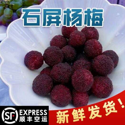 蒙自市云南新鲜东魁杨梅冰袋保鲜石屏县农家产地现摘现发非冰冻杨梅