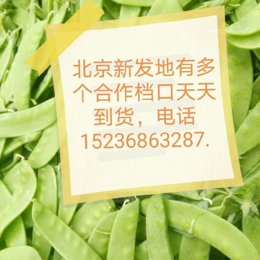 商丘荷兰豆