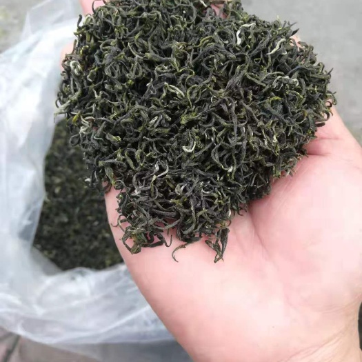 遂川县遂川狗牯脑茶