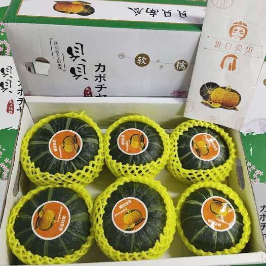寿光市贝贝南瓜山东潍坊板栗味小南瓜日本南瓜惠和一号麻籽