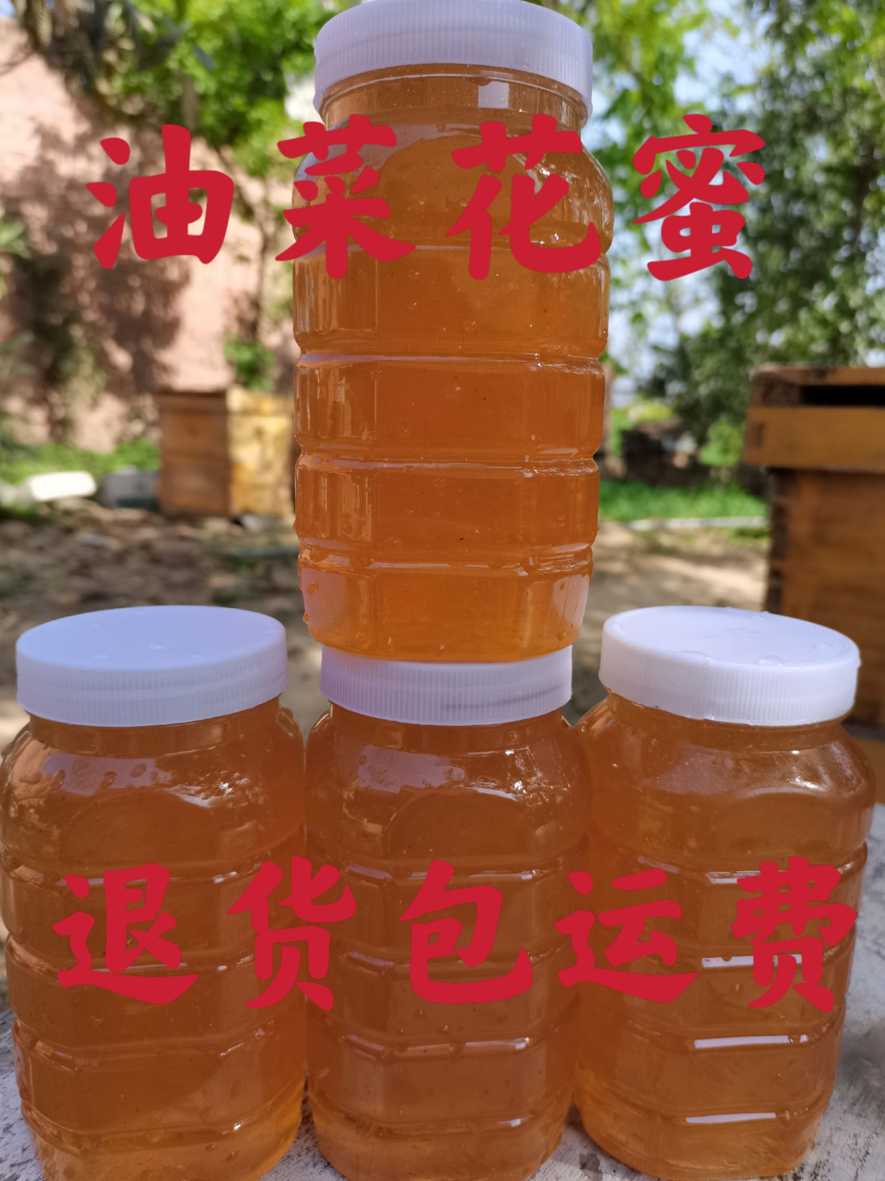 油菜蜜  秦岭山脚下，纯正油菜花蜜2斤装包邮