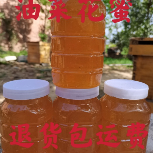 渭南油菜蜜  秦岭山脚下，纯正油菜花蜜2斤装包邮