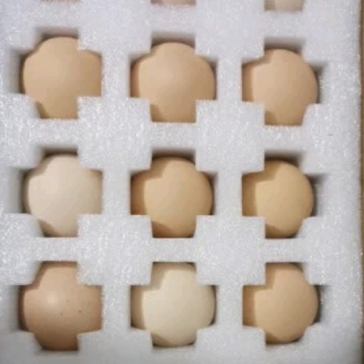 蕲春县鸡蛋，普通鸡蛋，粉壳蛋，养殖厂的！