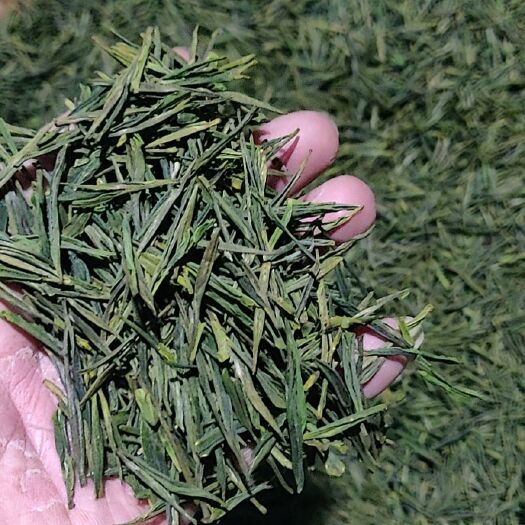 杭州云雾茶  茶叶