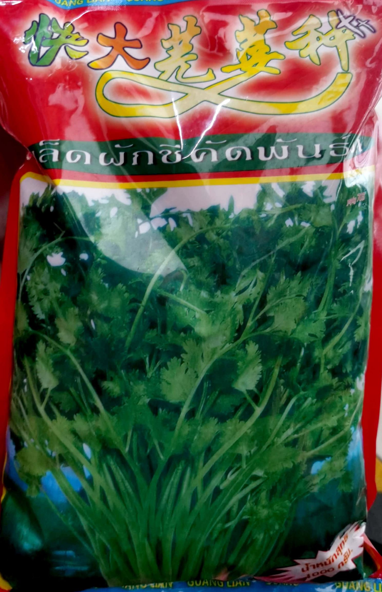 香菜种子，根系浅，茎短缩，叶互生，具长柄，抗性强