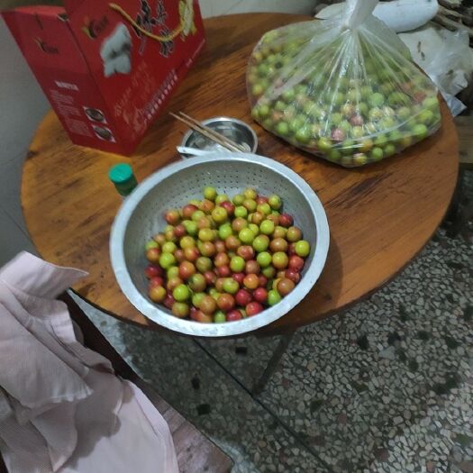 兴业县青脆李 米李