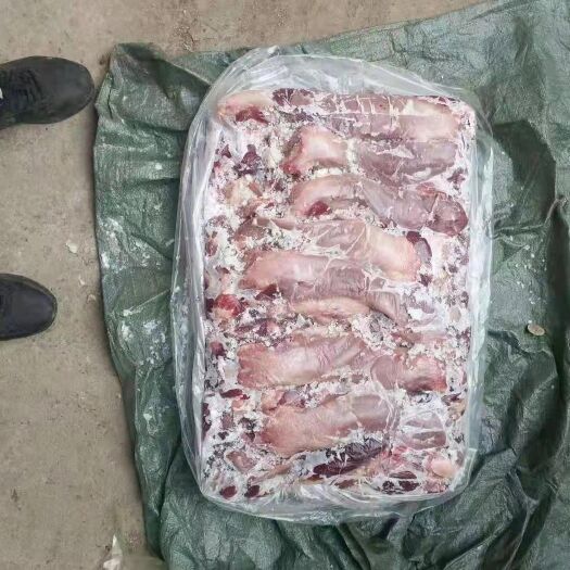 商丘猪舌  母猪口条，新货，手续齐全