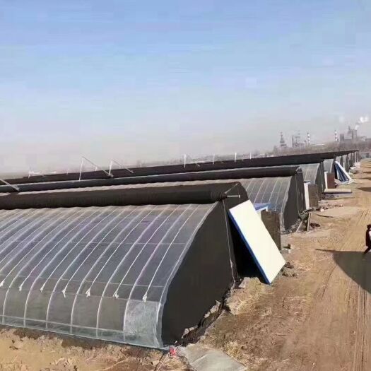 天津大棚管 本公司是天津大棚温室骨架钢管厂家，专业生产各种大棚，养殖棚