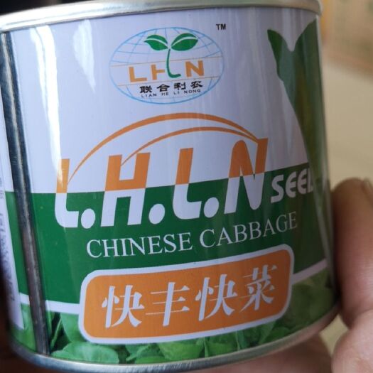 耐熱快菜種子  快豐快菜