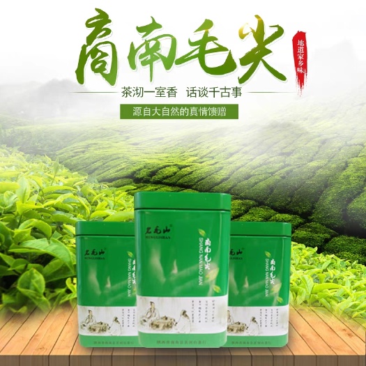 西安毛尖茶 茶，商南绿茶，明前毛尖