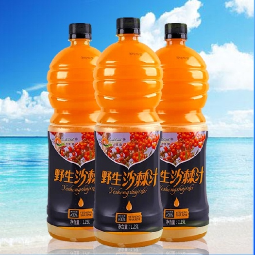 伊川县沙棘汁  绿色食品有营养
