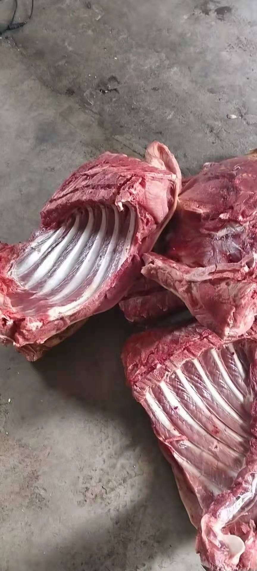 猪肉类  香猪肉新鲜活杀，直接拍有货包邮，20斤实惠精包装