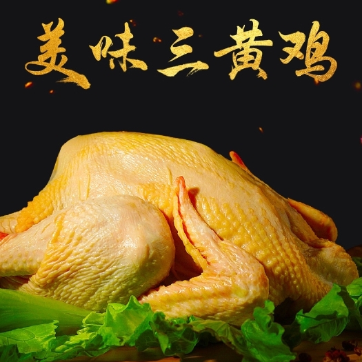 习水县白条鸡 三黄鸡，白条，冷鲜，四斤以上
