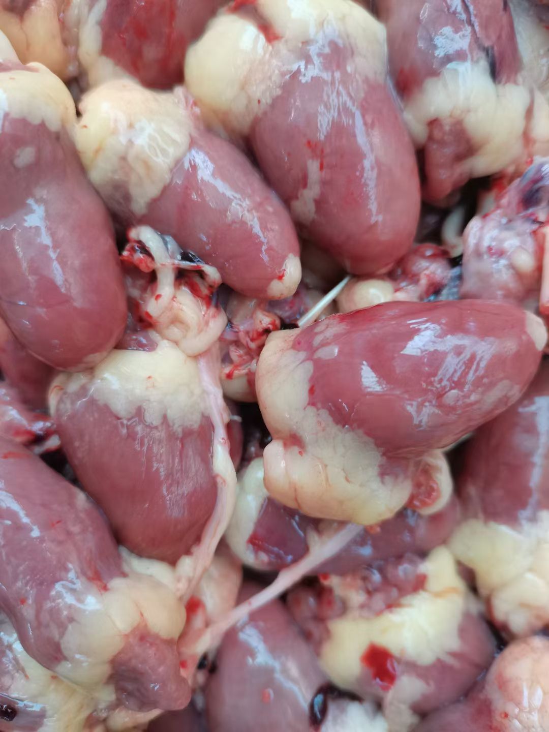 鸡副产品  新鲜鸡心，价格不高，量大从优，欢迎下单