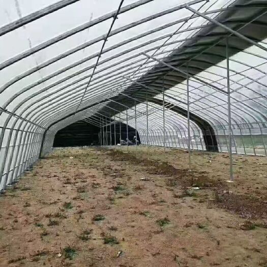 宿迁大棚设备 温室大棚连栋棚，蔬菜棚，养殖棚，种植棚